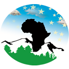 African Life Stars Institution